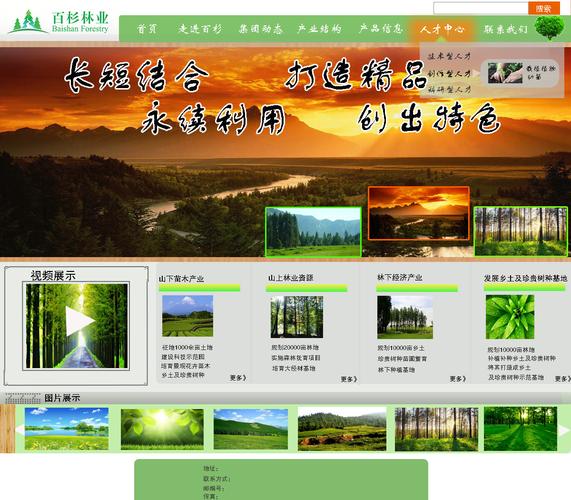 林業開發網站頁面設計